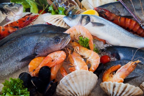 Consumption Fish