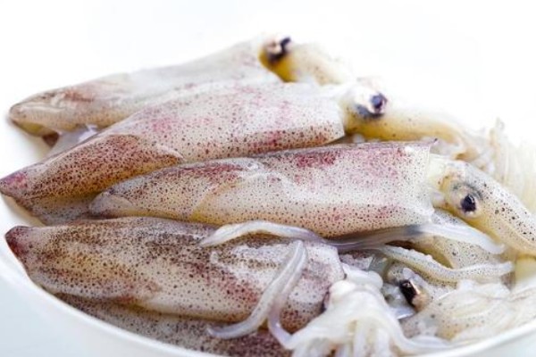 Frozen Cephalopod