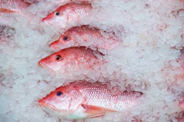Frozen Demersal