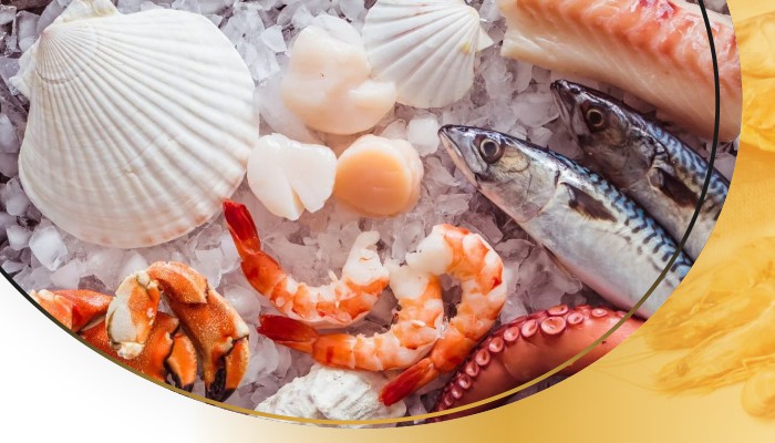 How to Store Seafood for Long-Lasting Freshness How to Store Seafood for Long-Lasting Freshness