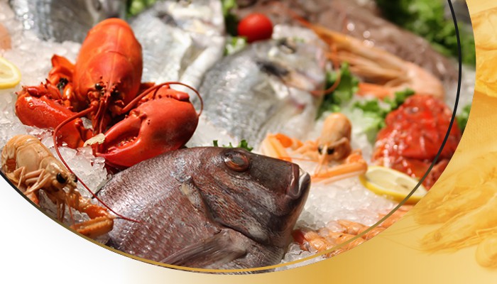 PT. Indo Samudra Nusantara – Fresh & Frozen Seafood PT. Indo Samudra Nusantara – Fresh & Frozen Seafood