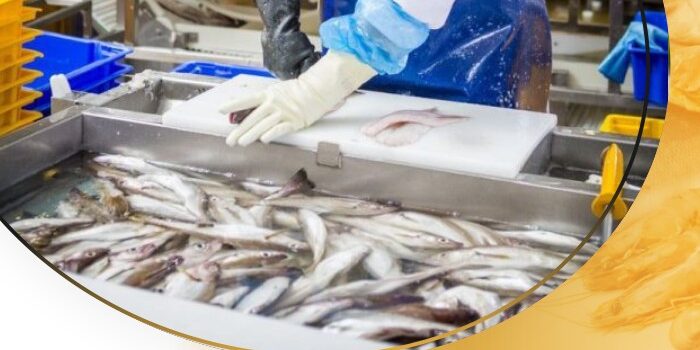 The Largest Seafood Exporter in Indonesia