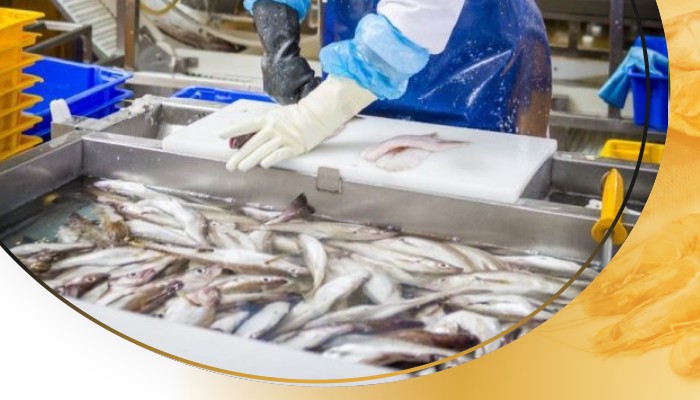 The Largest Seafood Exporter in Indonesia The Largest Seafood Exporter in Indonesia
